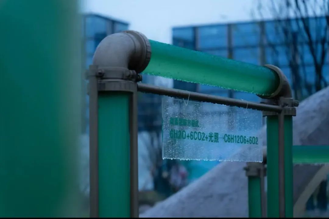 活动预告：碳合规要点与国际碳机制挑战研讨